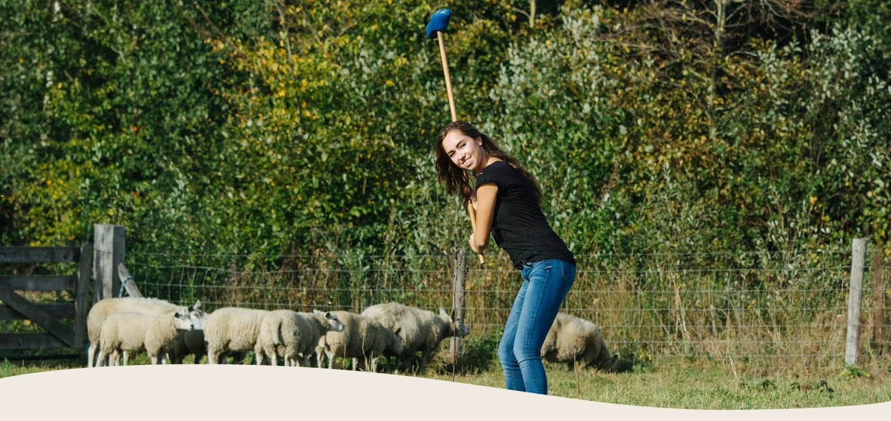 Header afbeelding